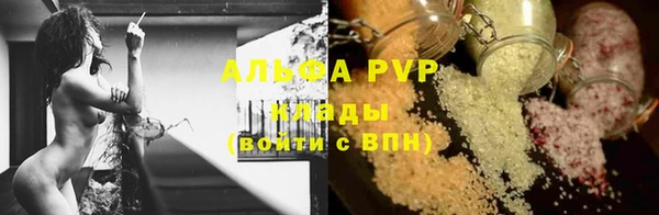 сатива Алзамай
