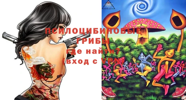 хмурый Алексин