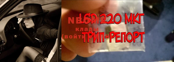 прущие грибы Алексеевка