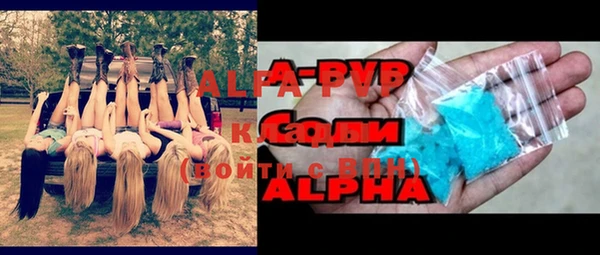 хмурый Алексин