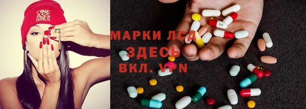 сатива Алзамай